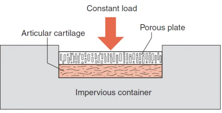 Figure 2.3 The schematic drawing of an apparatus used to perform a 