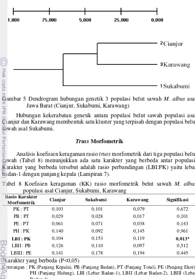 Tabel 8 Koefisien keragaman (KK) rasio morfometrik belut sawah M. albus 