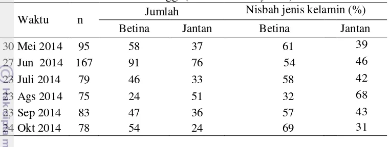Tabel 2 Rasio kelamin ikan swanggi (Priacanthus tayenus) 