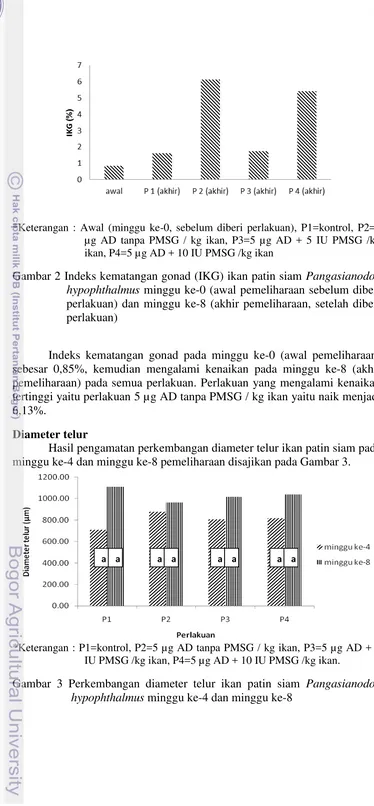 Gambar 2 Indeks kematangan gonad (IKG) ikan patin siam Pangasianodon 