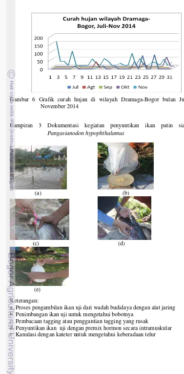 Gambar 6 Grafik curah hujan di wilayah Dramaga-Bogor bulan Juli- 