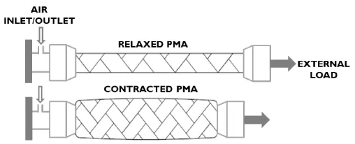 Figure 2.1: Illustration of pneumatic muscle operation [2] 