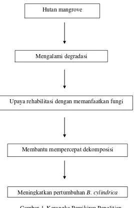 Gambar 1. Kerangka Pemikiran Penelitian 