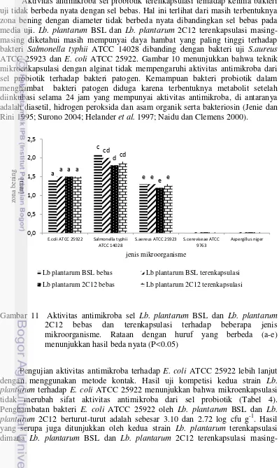 Gambar 11  Aktivitas antimikroba sel Lb. plantarum BSL dan Lb. plantarum 
