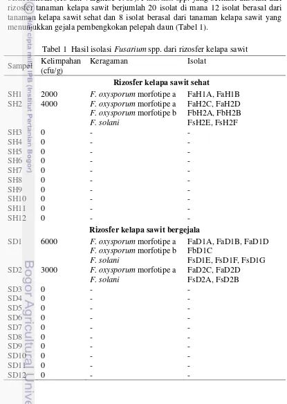 Tabel 1  Hasil isolasi Fusarium spp. dari rizosfer kelapa sawit 