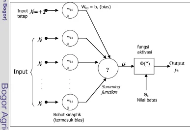 Gambar 17 Model non linier dari sebuah saraf dengan parameter batas