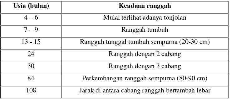 Tabel 1. Perkembangan ranggah rusa timor jantan berdasarkan usia 