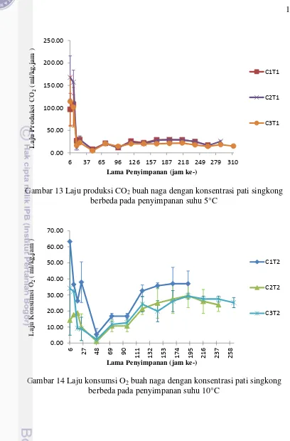 Gambar 13 Laju produksi CO2 buah naga dengan konsentrasi pati singkong 