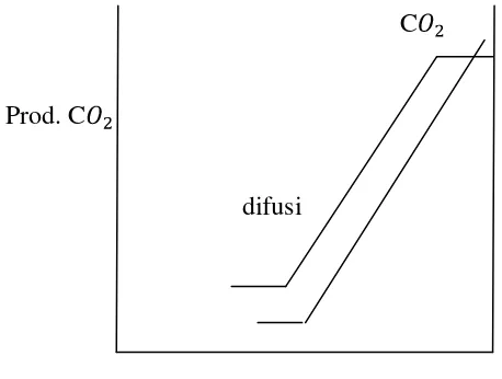 Gambar 1. Skema hubungan antara proses difusi air, jumlah C dan waktu pematangan pisang (Zuidar, 2000)