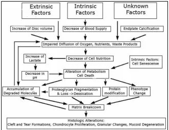 Figure 2.7 Schematic presentation of the possible pathomechanisms involved in 
