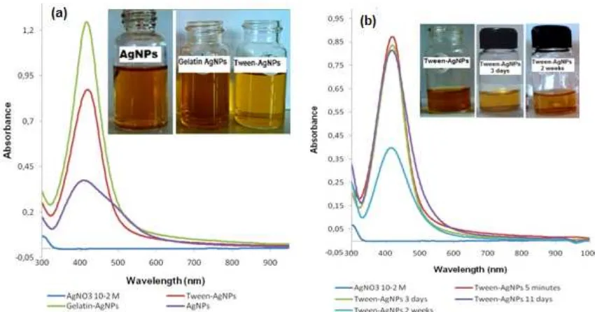 Fig 3. Spectrum UV-Vis synthesis Tween-AgNPs (a) and stability of Tween-AgNPs
