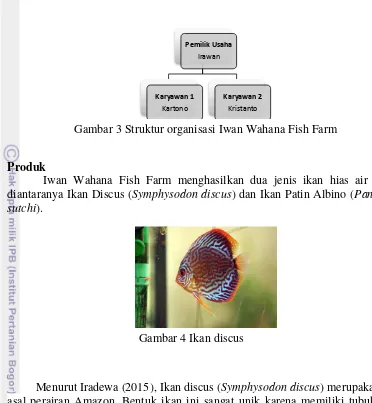 Gambar 3 Struktur organisasi Iwan Wahana Fish Farm 