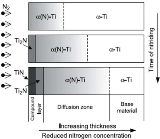 Fig.9: A schematic presentation of the kinetics of formation and growth of surface layers during            nitriding of titanium (Zhecheva et al., 2005)