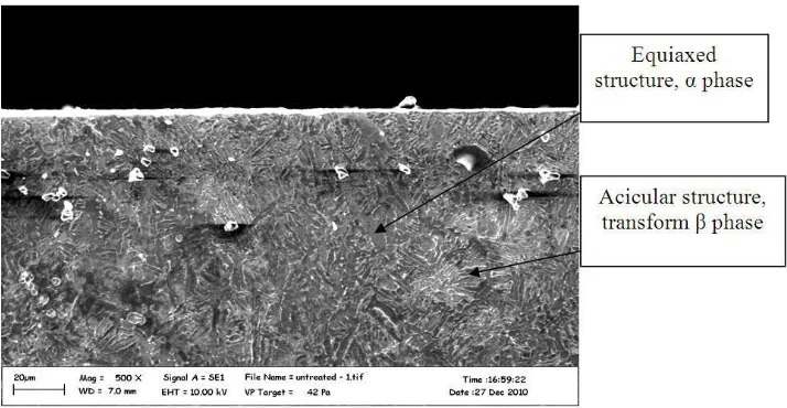 Fig.2: The XRD patterns of as received Ti-6Al-4V substrate