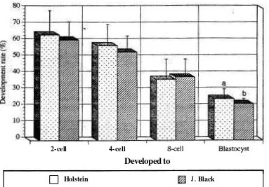 Figure 3. Development rate of Holstein and Japanese Black breeds in vitro produced embryos (a-b, P<0.01)