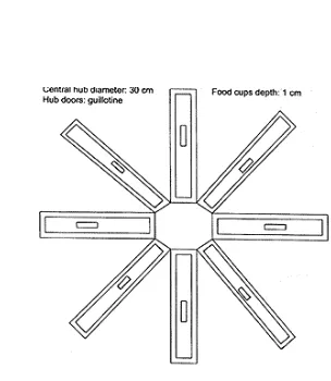 Gambar 7. Radial Arm Maze (sumber: https://journals.prous.com) 