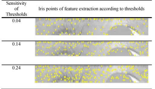 Fig. 5. Binary representation of the iris feature extraction 
