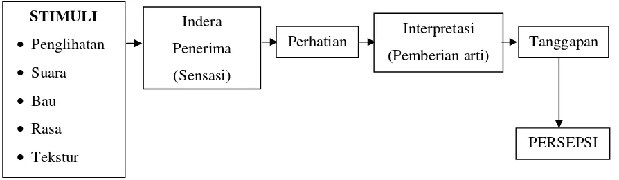 Gambar 4. Proses pembentukan persepsi berdasarkan Model Salomon 