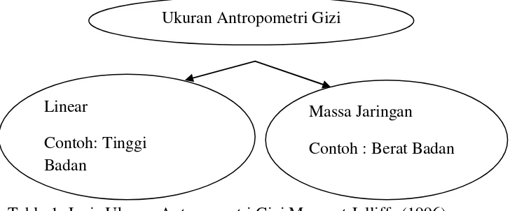 Table 1: Jenis Ukuran Antropometri Gizi Menurut Jelliffe (1996)  