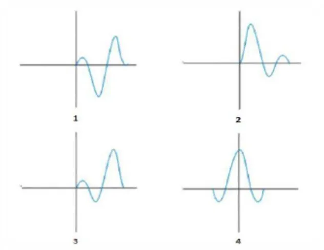 Gambar 3.4 Jenis-jenis wavelet berdasarkan konsentrasi energinya, yaitu mixed 