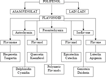 Gambar 3 Struktur kimia flavonoid (CIC 2001,  Hall 2001) 