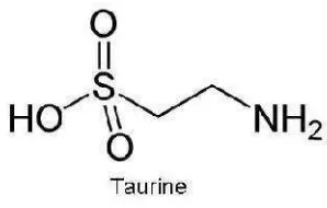 Gambar 1. Struktur Taurin (Murray, 1996)