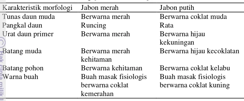 Tabel 1 Karakteristik morfologi jabon merah dan putih 