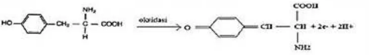 Gambar 6. Reaksi Reduksi Fosfotungstat dan Fosfomolibdat 