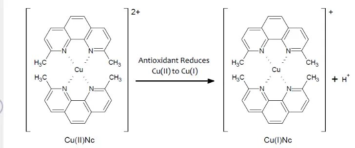 Gambar 2 Reaksi reduksi bisneokuproin-tembaga(II) uji  antioksidan dengan  