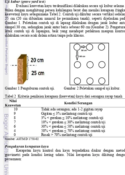 Gambar 1. Peletakan contoh uji di lapang dilakukan dengan jarak kubur antar 