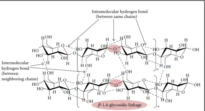 Gambar 2. Struktur selulosa (Lee et al., 2014). 