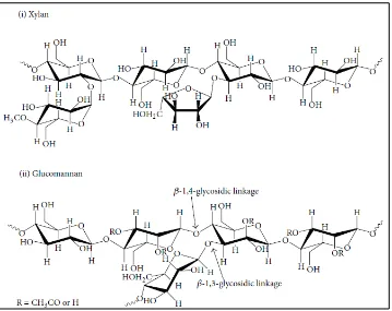 Gambar 3. Struktur hemiselulosa (Lee et al., 2014) 