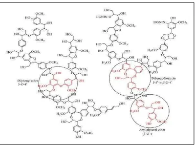 Gambar 4. Struktur lignin (Crestini et al., 2010). 