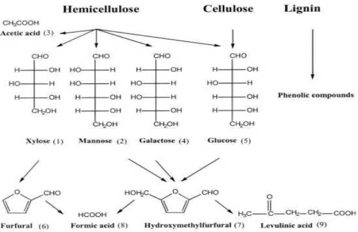 Gambar 6. Senyawa-senyawa inhibitor yang terbentuk di dalam proses hidrolisis    lignoselulosa (Santi, 2012)