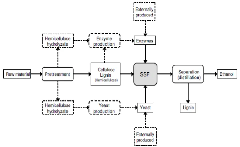 Gambar 7.  Tahapan proses pembuatan etanol dengan metode SSF.  Sumber: Olofsson et al