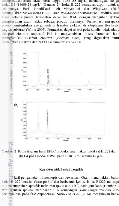 Gambar 2  Kromatogram hasil HPLC produksi asam laktat isolat (a) E1222 dan 
