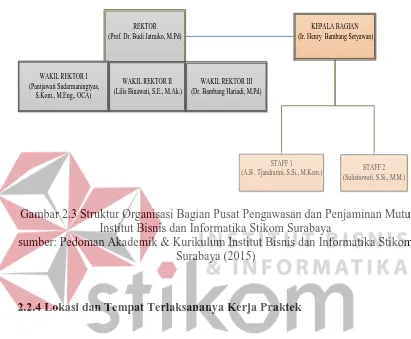 Gambar 2.3 Struktur Organisasi Bagian Pusat Pengawasan dan Penjaminan Mutu Institut Bisnis dan Informatika Stikom Surabaya 