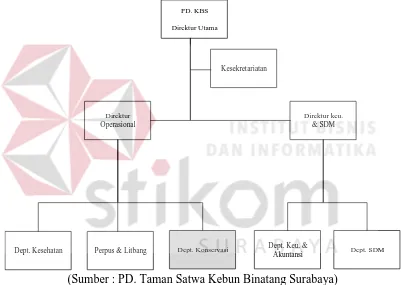 Gambar 2.1 Struktur organisasi PD. Taman Satwa Kebun Binatang Surabaya  