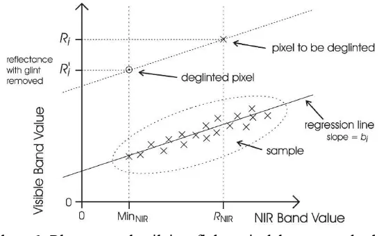 Gambar 6 Plot sampel nilai reflektansi dalam metode koreksi  sunglint yang dikembangkan Hedley (Hedley et al