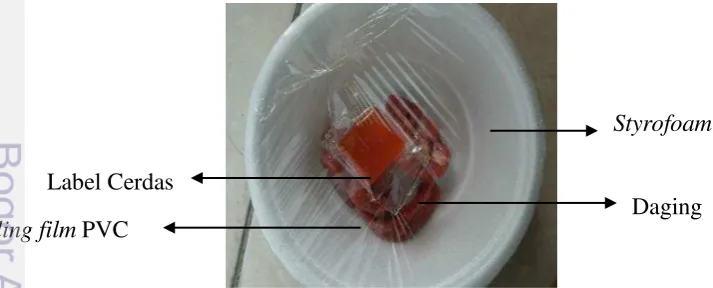 Gambar 16 Grafik pertumbuhan S. aureus 