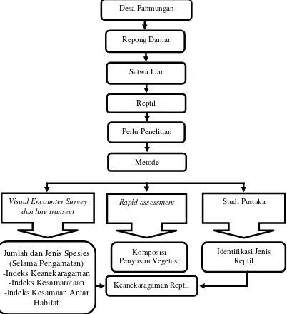 Gambar 1.  Diagram alir kerangka pemikiran keanekaragaman jenis reptil di Repong Damar Pekon Pahmungan Kabupaten Pesisir Barat Juni 2015