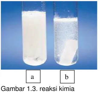 Gambar 1.3. reaksi kimia 