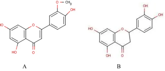 Gambar 1. Khriseoriol (A) dan luteolin (B) 