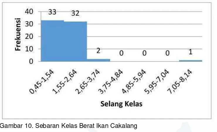 Gambar 10. Sebaran Kelas Berat Ikan Cakalang 