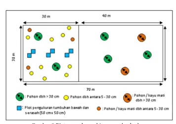 Gambar 8 Plot pengukuran biomassa dan karbon 