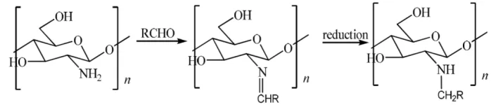 Figure 1. N-alkylchitosan synthesis reaction  