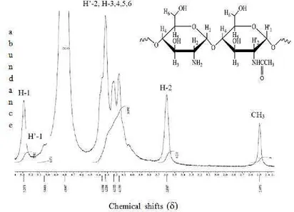 Figure 2. Chitosan  1H NMR spectrum at 70 °C (500 MHz, CD3COOD/D2O 1%) 