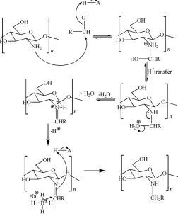 Figure 3. Reductive amination reaction mechanism in chitosan 