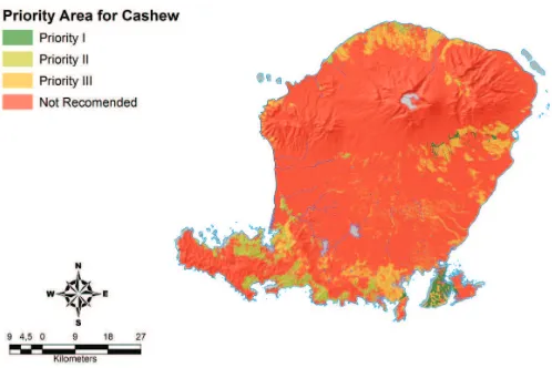 Table 7. Area priority of cashew expansion on Lombok Island