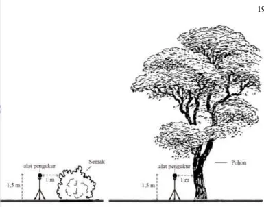 Gambar 9 Sketsa posisi alat pengukur pada struktur vegetasi 